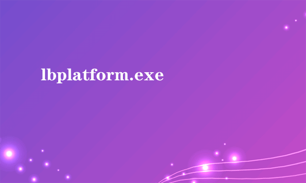 lbplatform.exe