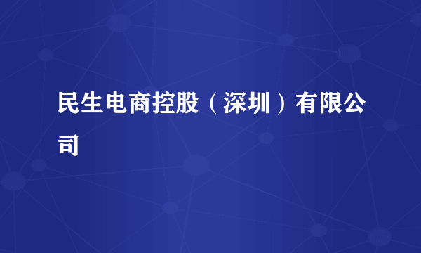 民生电商控股（深圳）有限公司