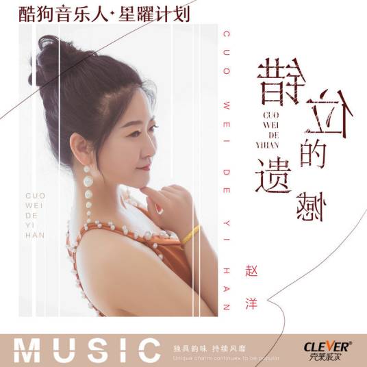 错位的遗憾（赵洋演唱的歌曲）