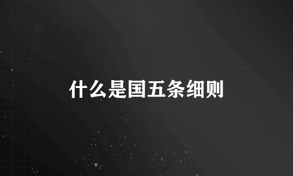 什么是国五条细则