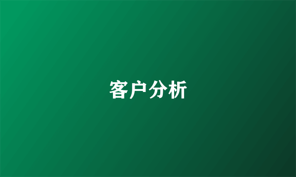 客户分析