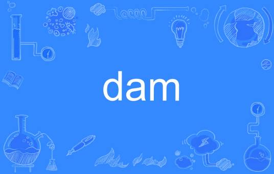 Dam（英语单词）
