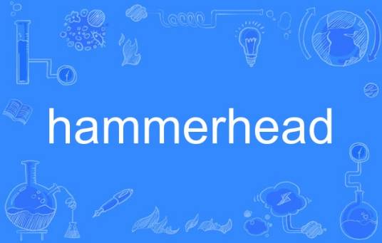 Hammerhead
