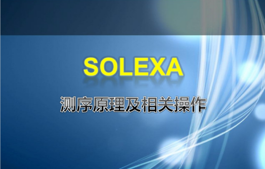 Solexa 测序系统
