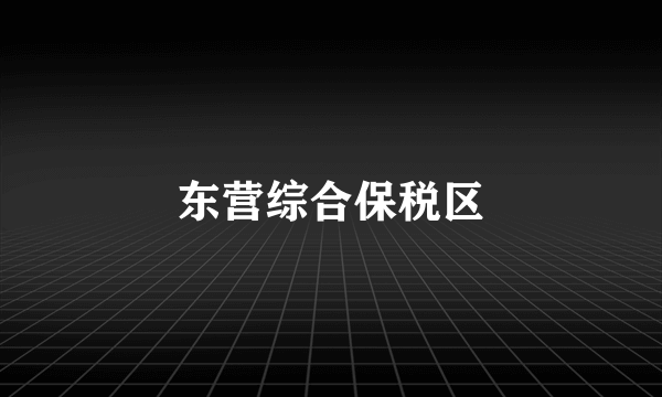 东营综合保税区