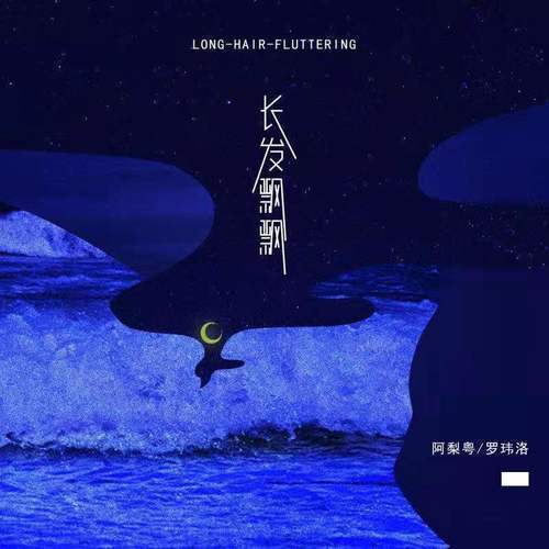 长发飘飘（阿梨粤 /罗玮洛演唱的歌曲）