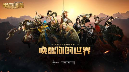 黑色沙漠(2013年韩国游戏开发商PearlAbyss开发的网游)