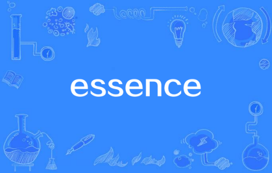 essence（英语词语）