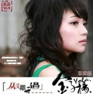 从没离开过（2010发行电影）