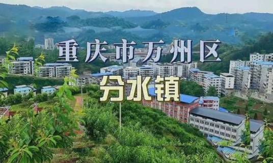 分水镇（重庆市万州区下辖镇）