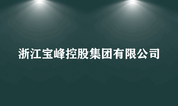 浙江宝峰控股集团有限公司