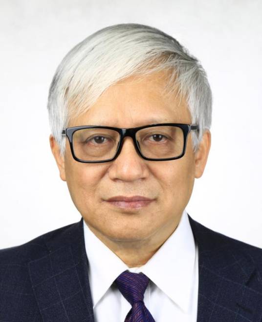 高锐（中国科学院院士、地球物理学家）