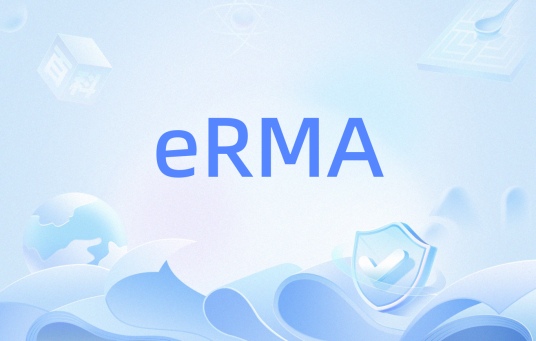 eRMA（电子记录机会计）