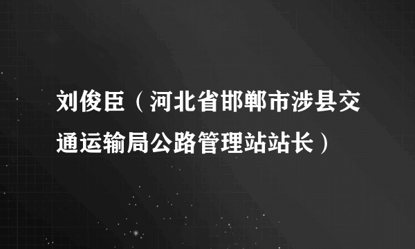 刘俊臣（河北省邯郸市涉县交通运输局公路管理站站长）