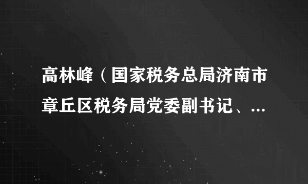 高林峰（国家税务总局济南市章丘区税务局党委副书记、副局长）