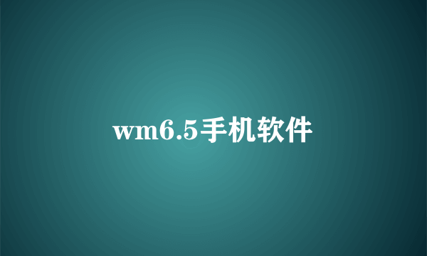 wm6.5手机软件