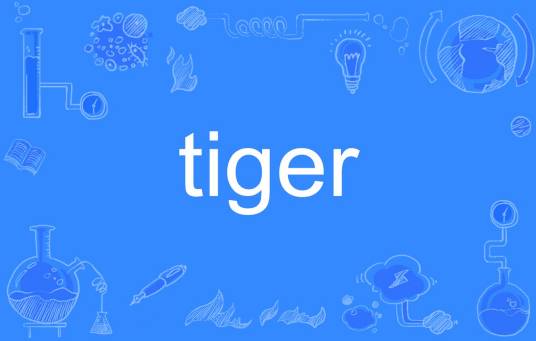 tiger（英语单词）