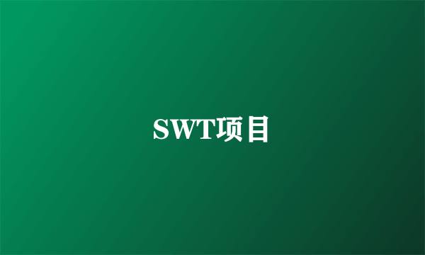 SWT项目