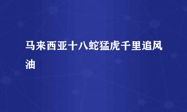 马来西亚十八蛇猛虎千里追风油