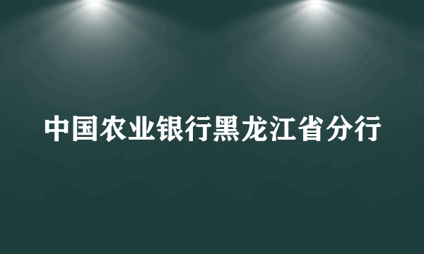 中国农业银行黑龙江省分行