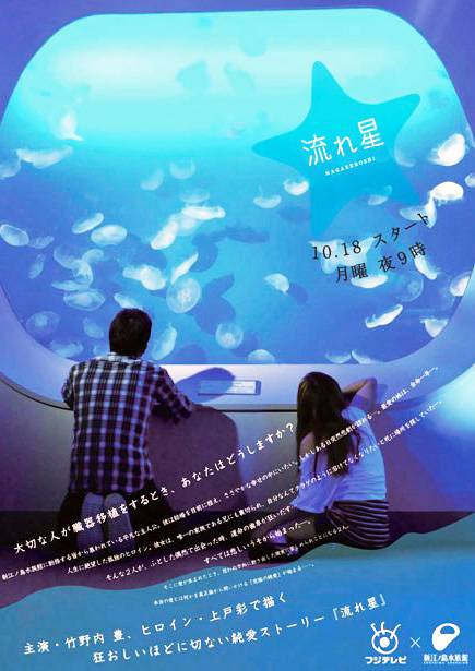 流星（日本2010年竹野内丰主演的电视剧）