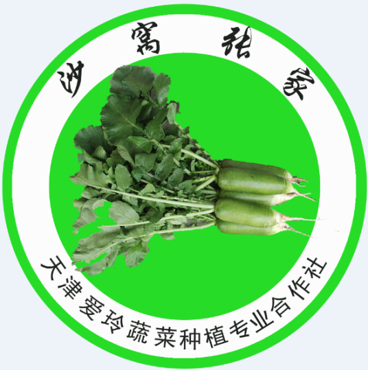 天津沙窝萝卜生产销售基地