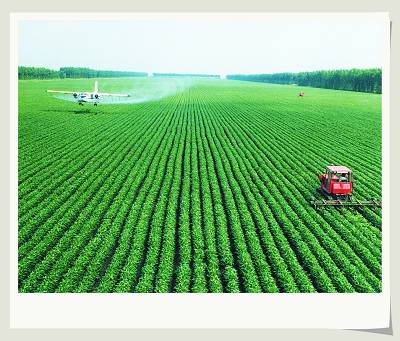 黑龙江省农垦科学院