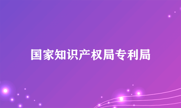 国家知识产权局专利局