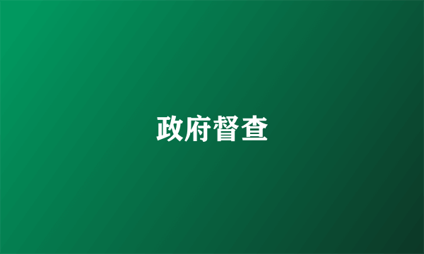 政府督查