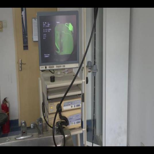 电子内窥镜系统