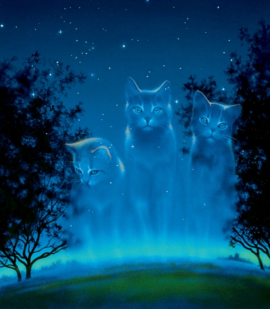 星族（小说《猫武士》中的一个族群）