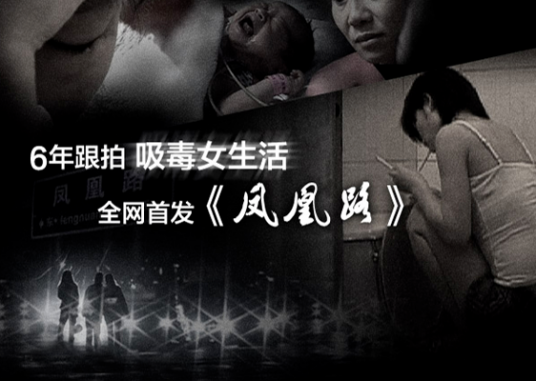 凤凰路（2012年涂俏、陈远忠指导的纪录片）