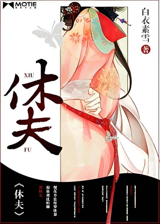 休夫（白衣素雪创作的古代言情类网络小说）