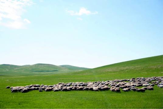 端午日（沈从文的文章）