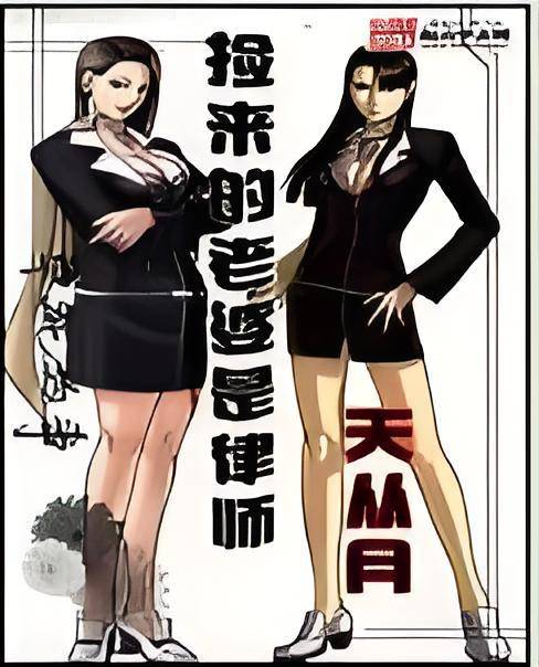 捡来的老婆是律师