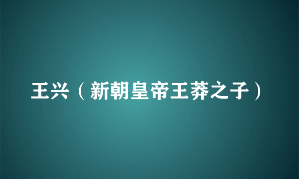 王兴（新朝皇帝王莽之子）