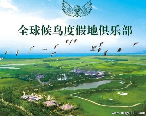 全球候鸟俱乐部