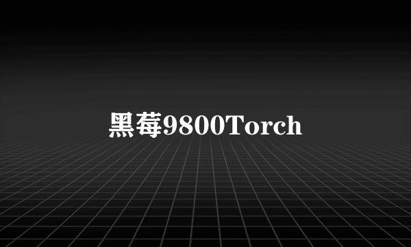 黑莓9800Torch