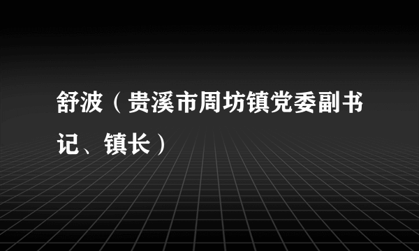 舒波（贵溪市周坊镇党委副书记、镇长）