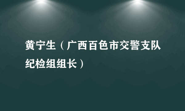 黄宁生（广西百色市交警支队纪检组组长）