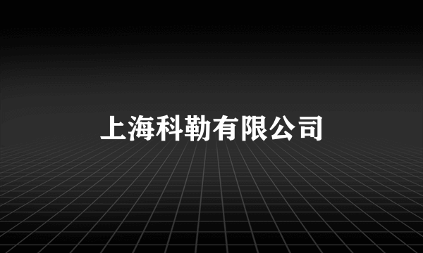 上海科勒有限公司
