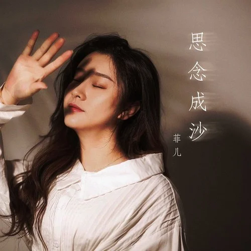 思念成沙（菲儿演唱歌曲）
