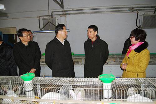 南阳高庄核电站