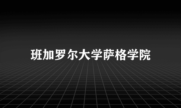 班加罗尔大学萨格学院