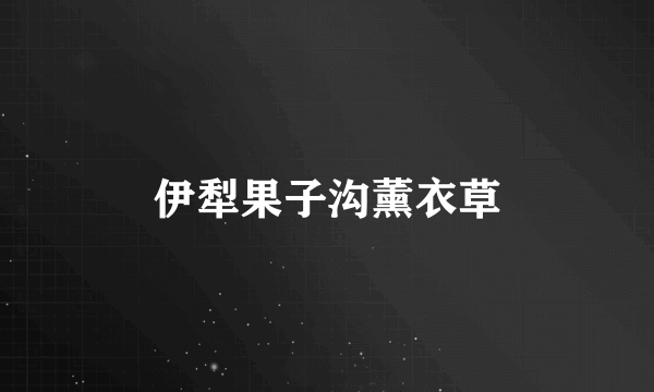 伊犁果子沟薰衣草