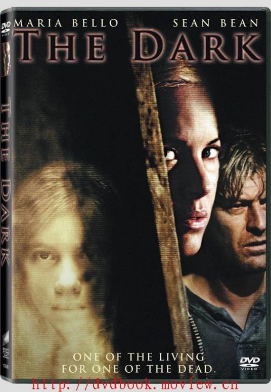 阴灵（德国、英国2005年约翰·福切特执导的惊悚电影）