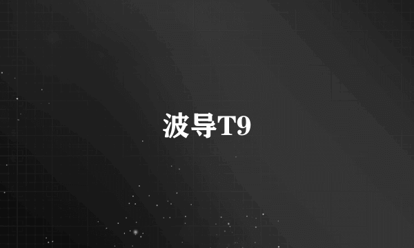 波导T9