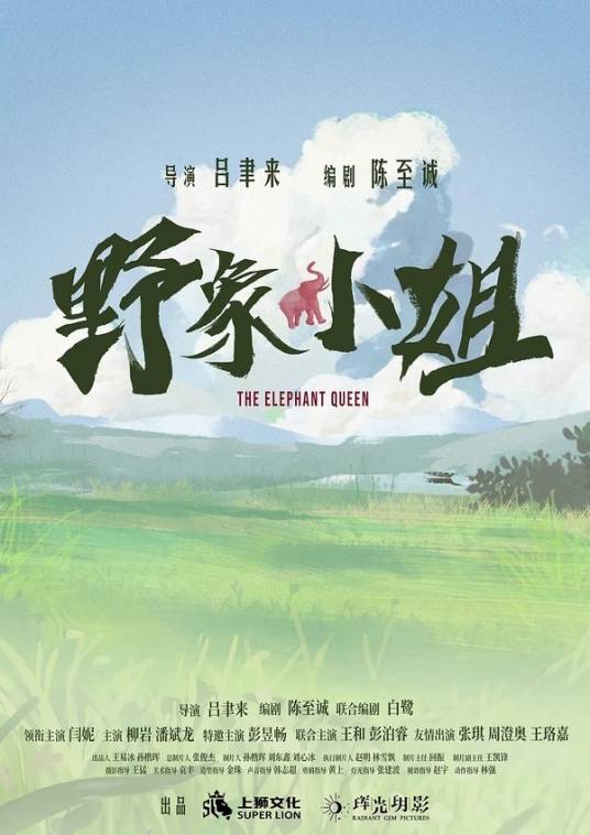 野象小姐（2024年吕聿来执导的电影）