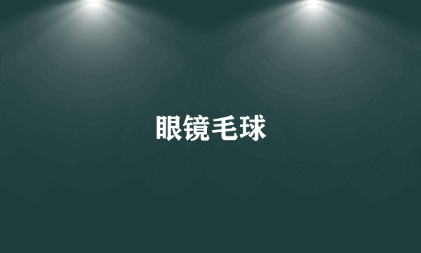 眼镜毛球