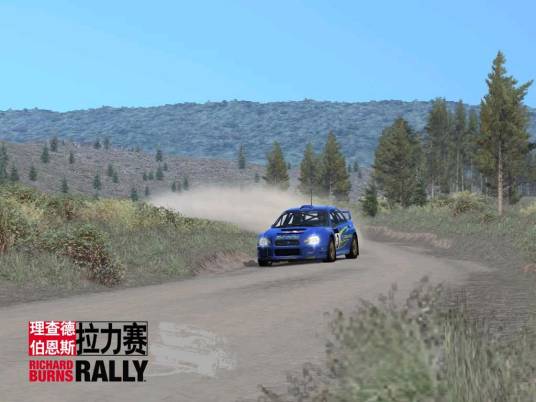 理查德·伯恩斯拉力赛